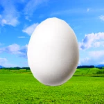 Logo of Imitation Eggs android Application 